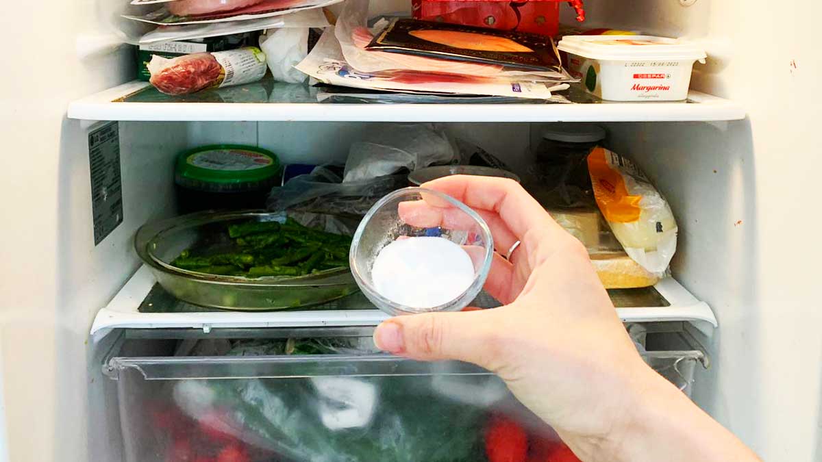 Cosa mettere nel frigo per assorbire l'odore dei cibi 