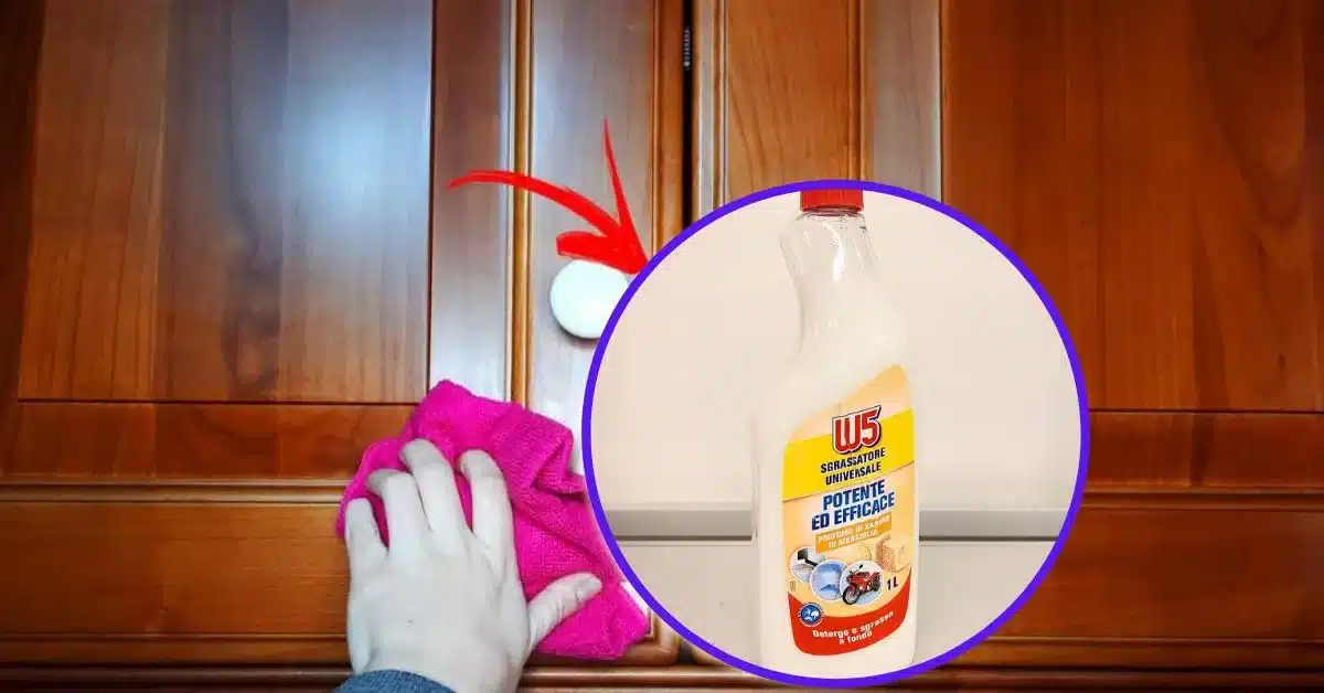 Come pulire la cucina con W5 Sgrassatore universale di LIDL