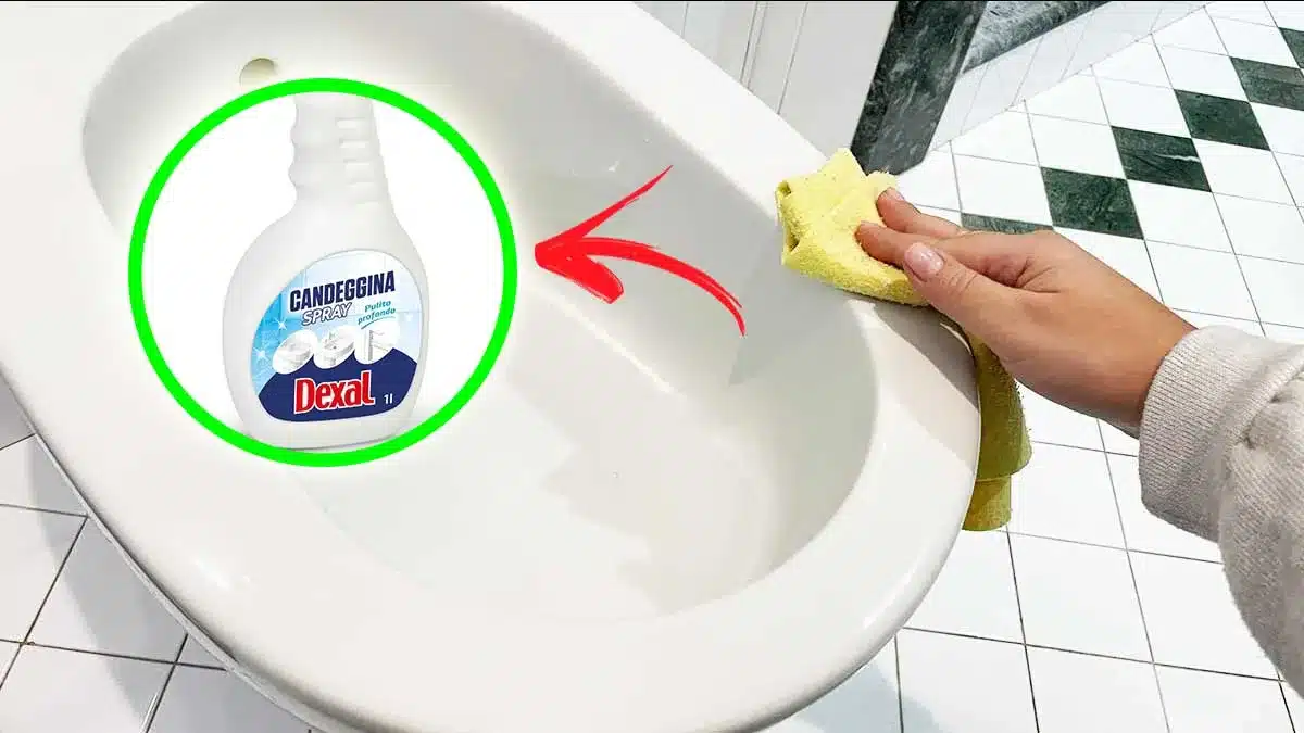 candeggina-spray-dexal-eurospin