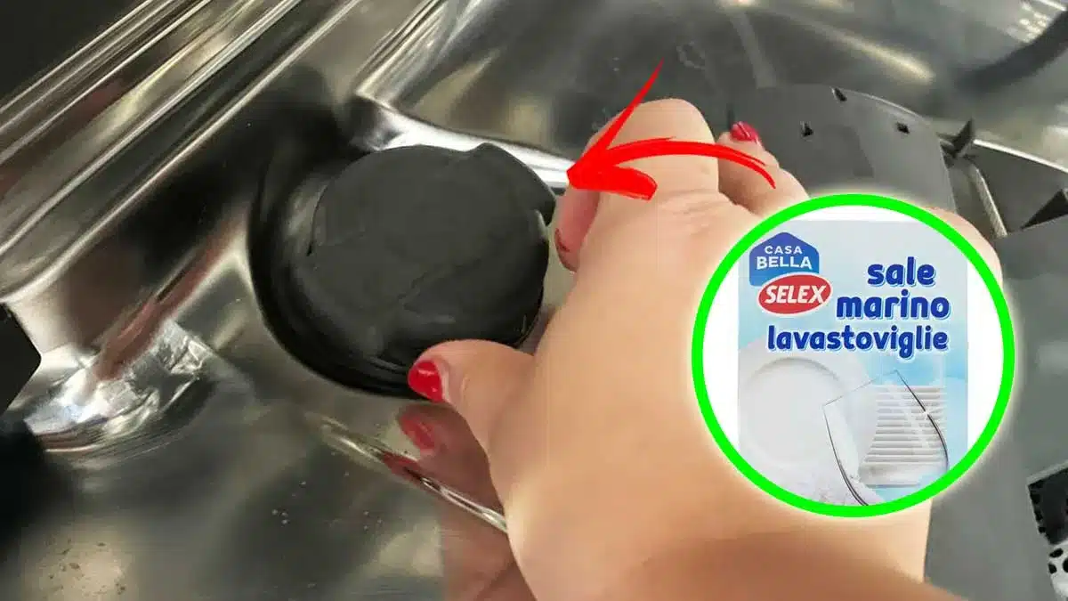 selex-sale-lavastoviglie