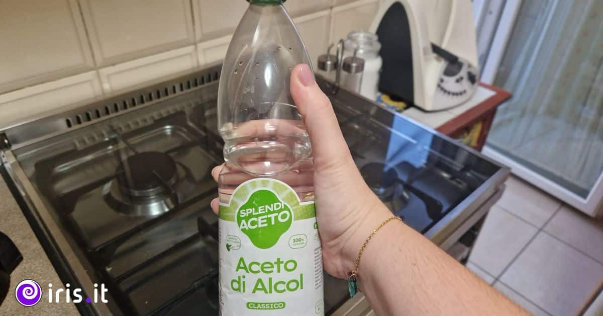 aceto bianco alcol pulire cucina
