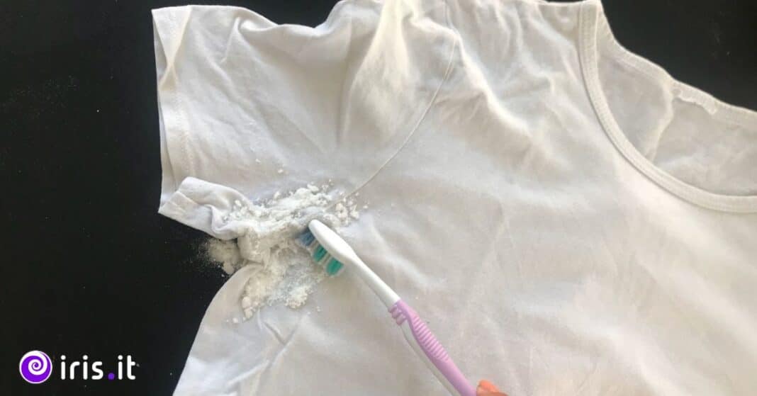 aloni gialli sudore tshirt