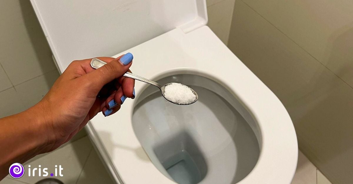 acido citrico nel wc