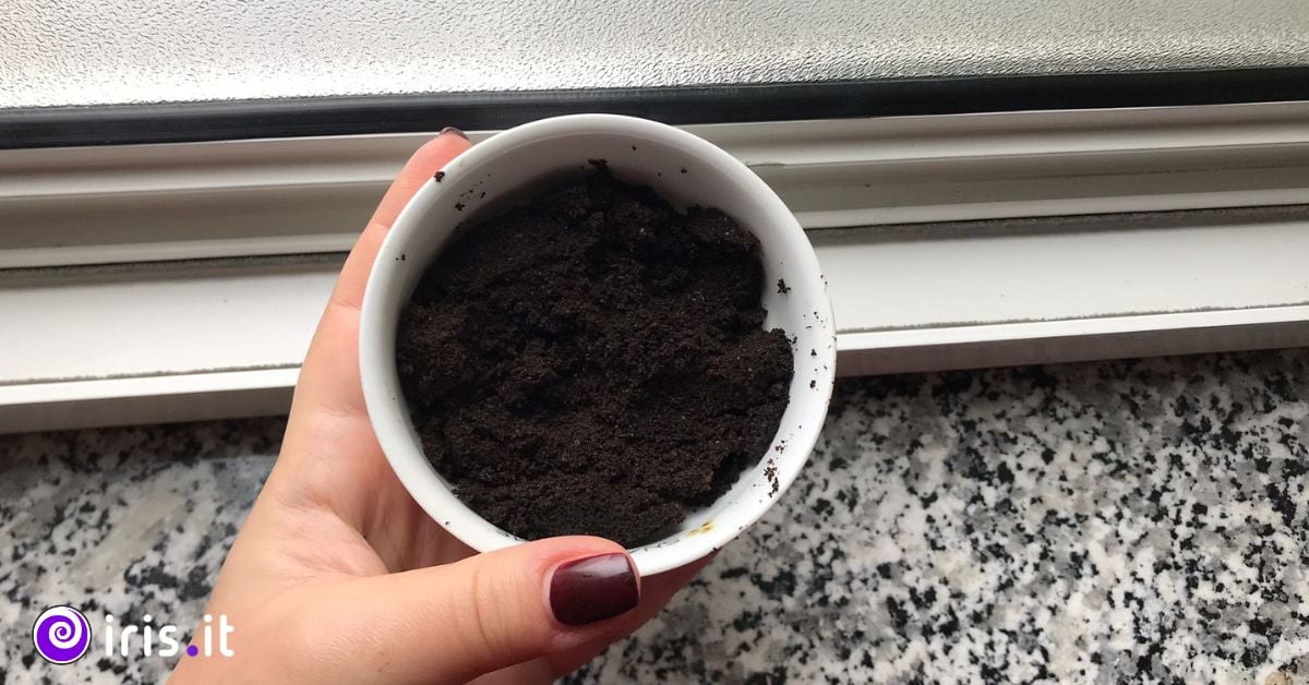 fondi caffè pulizie