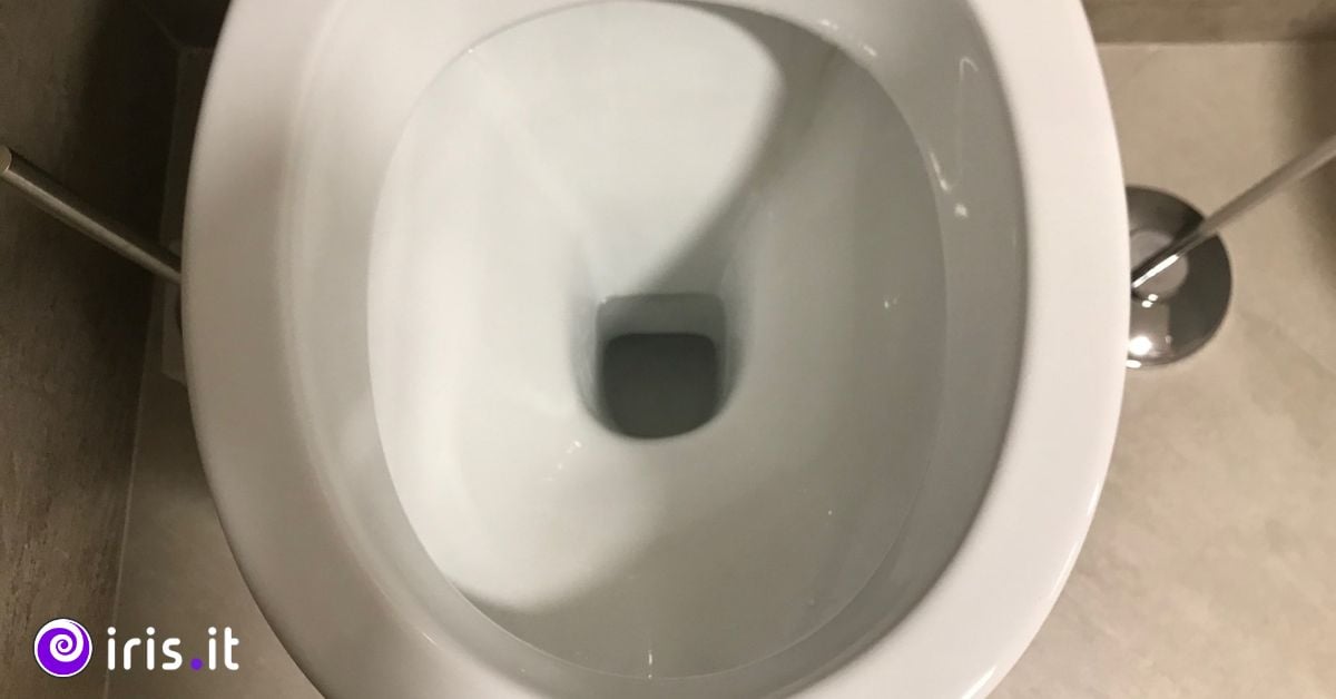 wc bianco pulito