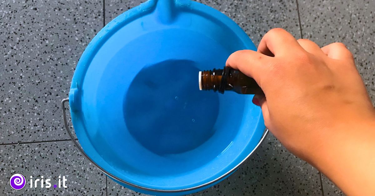 detersivo pavimenti