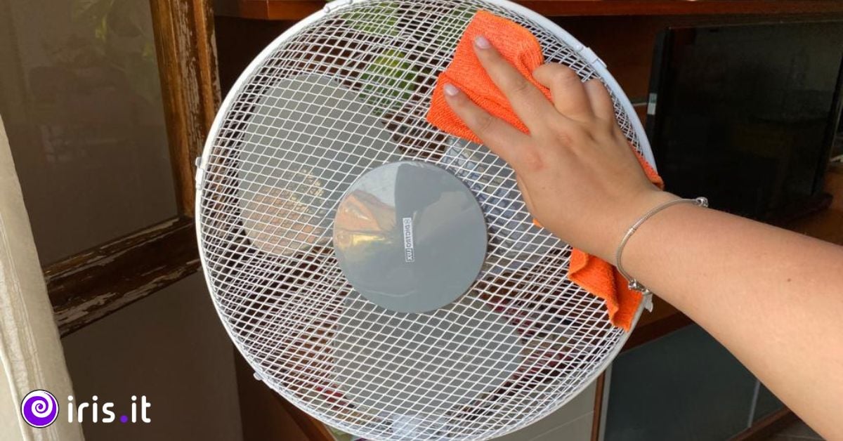 pulizia ventilatore